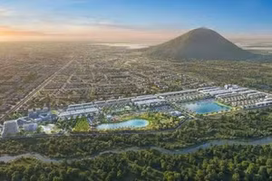 Ngày 06/11/2026, đấu giá quyền sử dụng đất và tài sản gắn liền với đất tại xã Tầm Vu, tỉnh Tây Ninh