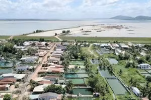 Ngày 18/09/2026, đấu giá quyền sử dụng đất và tài sản gắn liền với đất tại xã Tân Hội, tỉnh Tây Ninh