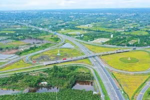 Ngày 25/09/2026, đấu giá quyền sử dụng đất và tài sản gắn liền với đất tại xã Tân Hội, tỉnh Tây Ninh