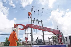Tổng công ty Điện lực miền Nam: Bảo đảm điện an toàn, ổn định cho Quốc khánh 2/9 