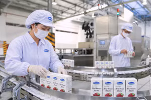 Vinamilk xây dựng mô hình trang trại sinh thái, kiểm kê khí nhà kính, coi đây là khoản đầu tư chiến lược để củng cố vị thế dẫn dắt trong chuỗi giá trị nông nghiệp - thực phẩm Việt Nam. Ảnh: Hoài Tâm