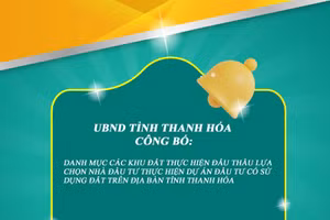 Danh mục các khu đất thực hiện đấu thầu dự án đầu tư có sử dụng đất trên địa bàn tỉnh Thanh Hóa năm 2026 