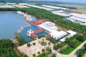 Ngày 27/8/2026, đấu giá quyền sử dụng đất và tài sản gắn liền với đất tại phường Bình Minh, tỉnh Tây Ninh