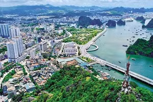 Ngày 02/11/2026, đấu giá quyền sử dụng đất ở và tài sản gắn liền với đất tại phường Hạ Long, TP. Quảng Ninh