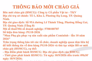Công ty cổ phần Vật tư - TKV thông báo mời chào giá đơn hàng PG10-2026 