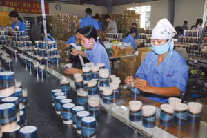 Dự thảo Nghị định quy định giảm 30% thuế thu nhập cá nhân đối với cá nhân cư trú có mức doanh thu hàng năm của năm 2026, năm 2027 không quá 10 tỷ đồng. Ảnh: Nhã Chi