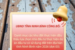 Danh mục các khu đất thực hiện đấu thầu lựa chọn nhà đầu tư thực hiện dự án đầu tư có sử dụng đất trên địa bàn tỉnh Ninh Bình năm 2026 (đợt 03)