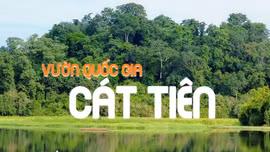 Chuyển giao Vườn quốc gia Cát Tiên về UBND thành phố Đồng Nai quản lý