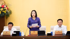 Phó Chủ tịch Quốc hội Nguyễn Thị Thanh phát biểu kết luận Phiên họp