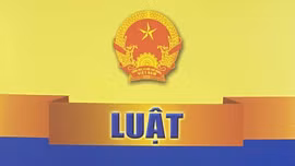 Việc ban hành Kế hoạch triển khai thi hành Luật Dầu khí nhằm nâng cao nhận thức, trách nhiệm của các cấp, các ngành, địa phương và các nhà thầu dầu khí, các tổ chức, cá nhân trong việc triển khai thi hành Luật Dầu khí.