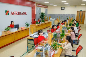 Agribank đấu giá khoản nợ hơn 92 tỷ đồng của Sài Gòn Mancare. Ảnh minh họa: Internet