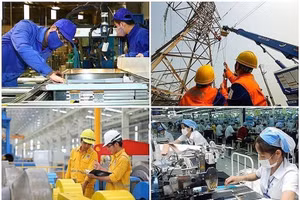 Theo quyết định, việc cơ cấu lại được thực hiện theo hai nhóm phương án chính: tiếp tục giữ nguyên tỷ lệ vốn nhà nước đang nắm giữ hoặc triển khai các hình thức sắp xếp, cơ cấu lại vốn theo Nghị định số 57/2026/NĐ-CP