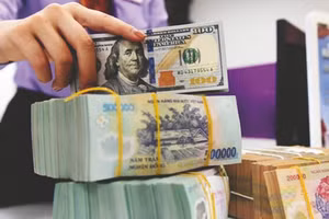 Nợ công hàng năm không quá 60% GDP, nợ Chính phủ hàng năm không quá 50% GDP