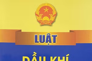 Việc ban hành Kế hoạch triển khai thi hành Luật Dầu khí nhằm nâng cao nhận thức, trách nhiệm của các cấp, các ngành, địa phương và các nhà thầu dầu khí, các tổ chức, cá nhân trong việc triển khai thi hành Luật Dầu khí.