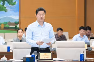 Thứ trưởng Thường trực Bộ Y tế Vũ Mạnh Hà trình bày tóm tắt Tờ trình của Chính phủ về dự án Luật tại phiên họp.