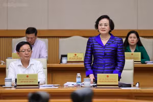 Phó Thủ tướng Phạm Thị Thanh Trà phát biểu tại phiên họp - Ảnh: chinhphu.vn/Nhật Bắc