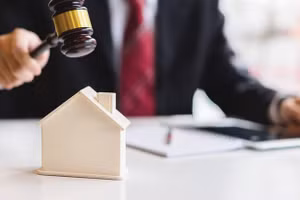 Thông qua báo cáo tiếp thu, giải trình dự thảo Luật Đấu giá tài sản (sửa đổi)