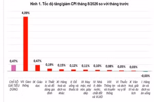 Nguồn: Cục Thống kê, Bộ Tài chính.