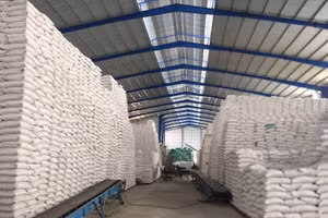 Trong tình huống cấp bách, cơ quan có thẩm quyền phải ban hành quyết định xuất cấp trong thời hạn tối đa 3 ngày kể từ khi nhận đề nghị.