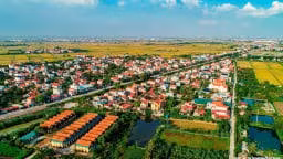 Ngày 4/11/2026, đấu giá quyền sử dụng đất tại xã Xuân Trúc, tỉnh Hưng Yên