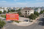 Đấu giá khu đất hơn 195 m2 tại khu tái định cư phường Hưng Phú (TP. Cần Thơ). Ảnh tạo bởi AI