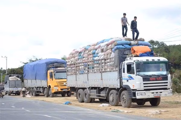 6 tháng đầu năm 2020 có 5.881 xe vi phạm trọng tải xe