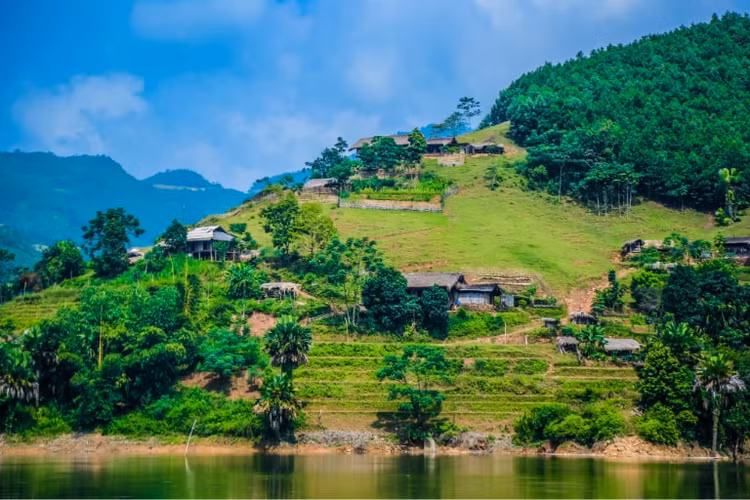Ảnh chỉ mang tính minh họa. Nguồn Internet
