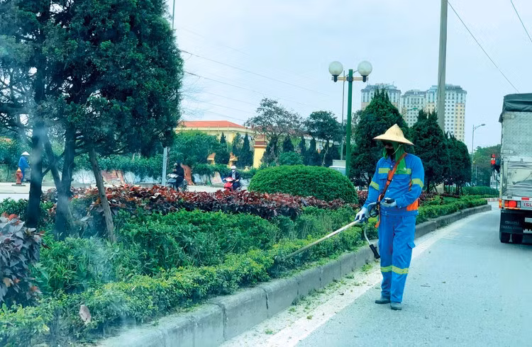 Ảnh minh họa: Nhã Chi