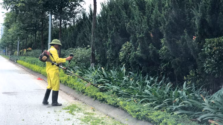 Nguyên nhân chậm lựa chọn nhà thầu gói thầu dịch vụ công ích tại Đắk Lắk được lý giải là do quá trình sắp xếp, kiện toàn bộ máy tổ chức của chủ đầu tư kéo dài. Ảnh: Lê Thanh Tùng