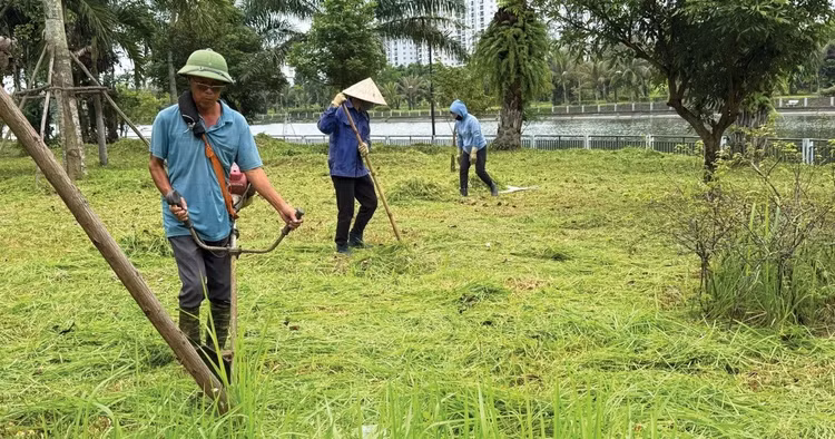 Ảnh chỉ mang tính minh họa