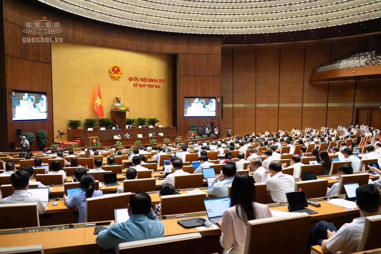 Toàn cảnh phiên thảo luận tại hội trường, Kỳ họp thứ Hai, Quốc hội khóa XVI