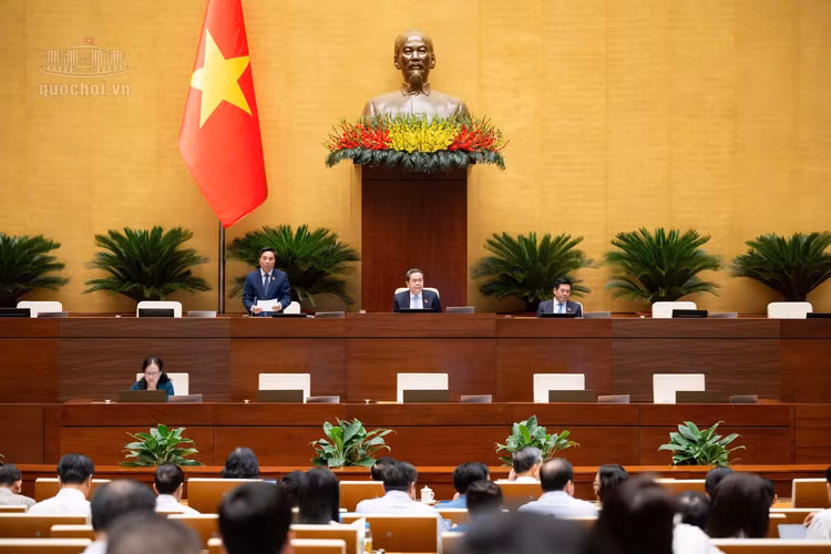Quang cảnh phiên họp