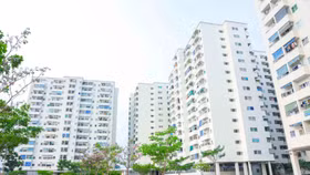 Công ty TNHH Thương mại Xây dựng Lê Thành hiện có khoảng 4.000 căn hộ cho thuê dài hạn 49 năm đã vận hành như dự án Twin Towers, Tân Tạo 1, An Lạc...