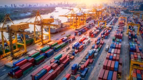 Bất chấp những thách thức ngắn hạn, Việt Nam tiếp tục khẳng định sức hút chiến lược đối với nhà đầu tư châu Âu. Ảnh: Internet