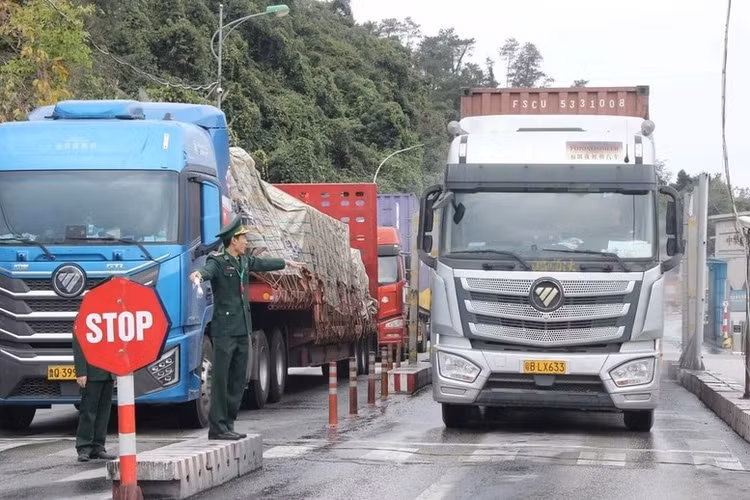 Sau chỉ đạo quyết liệt của Chính phủ và sự vào cuộc khẩn trương của các bộ, ngành, tình trạng ùn tắc hàng hóa tại một số cửa khẩu cơ bản được tháo gỡ. Ảnh NNMT.