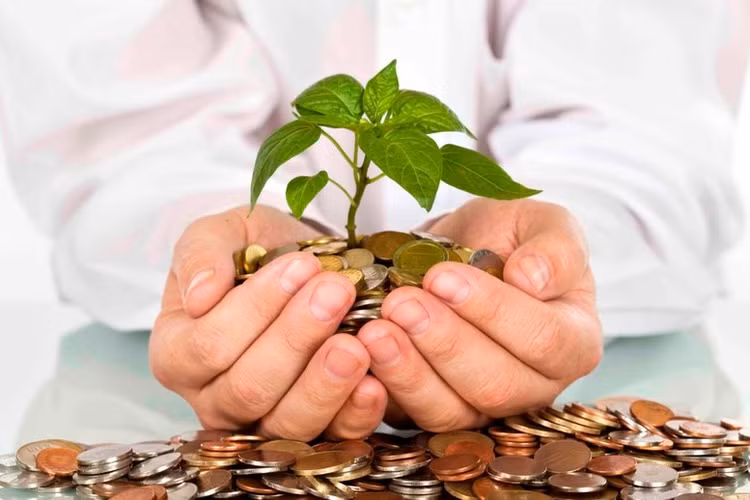 Mục đích của Chương trình, dự án tài chính vi mô nhằm góp phần tạo việc làm, thực hiện xóa đói, giảm nghèo, không vì mục tiêu lợi nhuận.