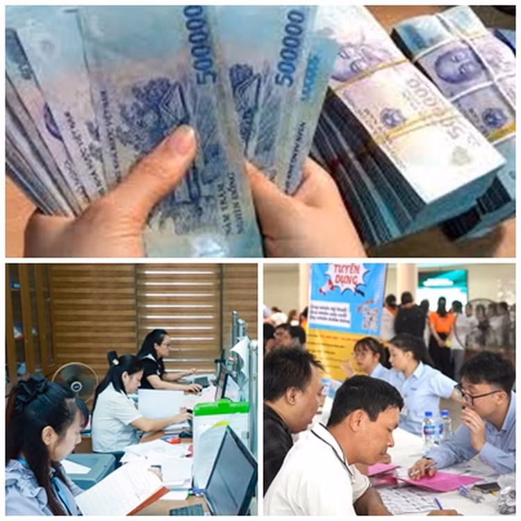 Chuẩn bị kỹ phương án cải cách tiền lương, thúc đẩy thị trường lao động hiện đại