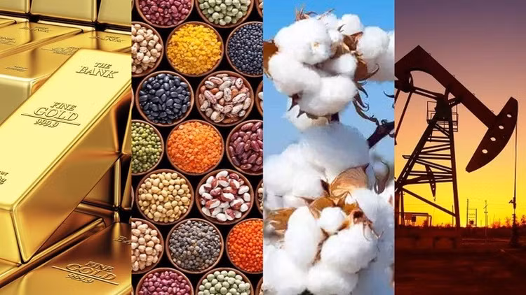 Dự thảo phân loại nhà đầu tư thành hai nhóm: nhà đầu tư chuyên nghiệp và nhà đầu tư cá nhân.