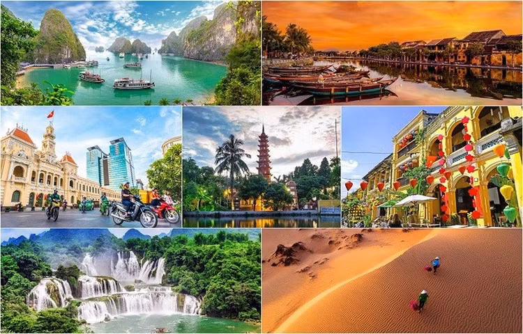 Ban Chỉ đạo Nhà nước về Du lịch là tổ chức phối hợp liên ngành, có chức năng giúp Thủ tướng Chính phủ nghiên cứu, chỉ đạo, phối hợp giải quyết các vấn đề quan trọng, liên ngành trong hoạt động du lịch