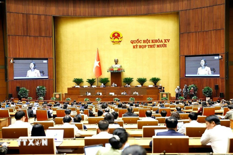 Quang cảnh phiên họp. (Ảnh: Doãn Tấn/TTXVN)