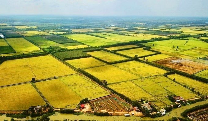 Nhiều HTX nông nghiệp vẫn nhỏ lẻ, khó tiếp cận công nghệ cao ảnh: Internet