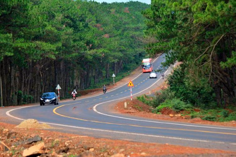 Ảnh minh họa: Internet