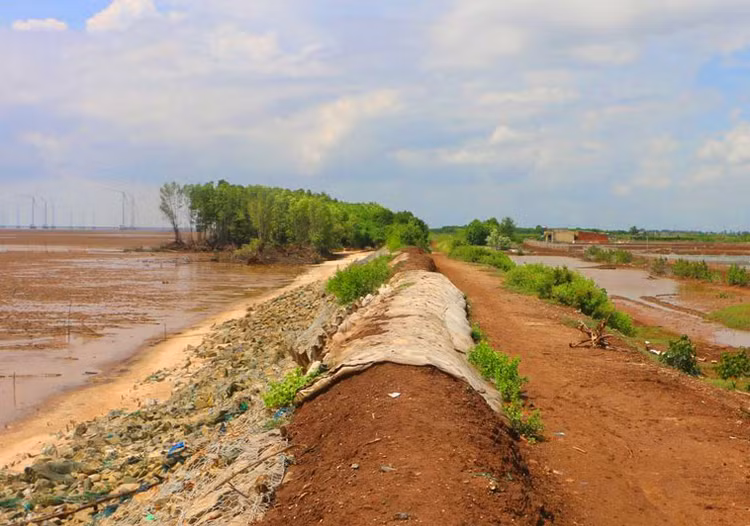 Năm 2022, Công ty CP Xây dựng hạ tầng giao thông thủy lợi Hà Nội được công bố trúng 10 gói thầu với tổng giá trúng thầu hơn 627,6 tỷ đồng. Ảnh minh họa: CĐ