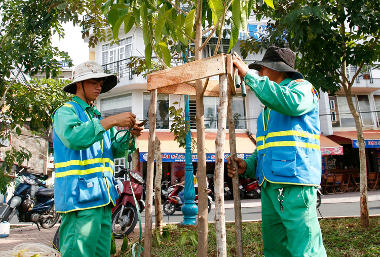 Công ty CP Môi trường đô thị Tam Kỳ từng trúng nhiều gói thầu lĩnh vực chăm sóc cây xanh, vệ sinh môi trường, xử lý rác tại Quảng Nam. Ảnh minh họa: Nhã Chi