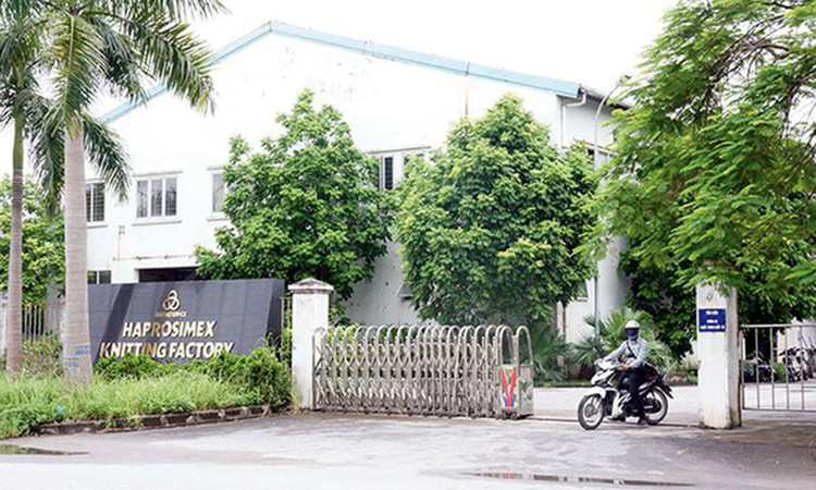 Tính đến cuối năm 2020, lỗ lũy kế của Haprosimex lên đến 282 tỷ đồng, vượt xa vốn điều lệ 120 tỷ đồng. Ảnh St