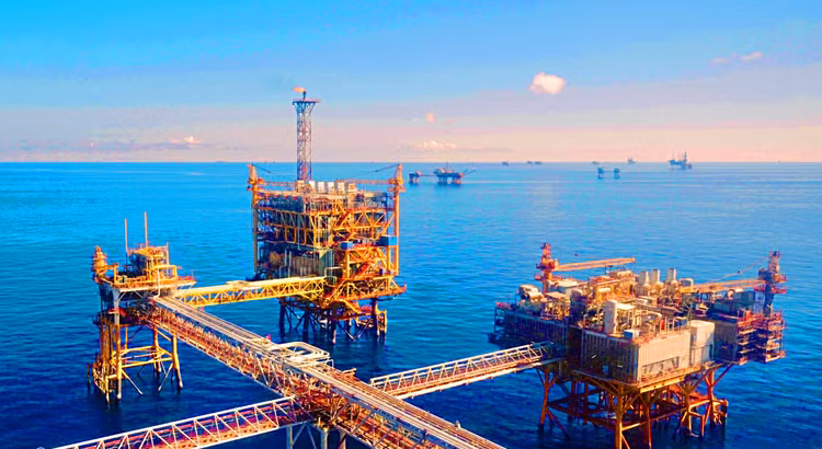 Việc mở rộng đối tượng áp dụng của Luật Đầu thầu có thể ảnh hưởng đến sự linh hoạt và hiệu quả hoạt động của các doanh nghiệp mà doanh nghiệp nhà nước nắm giữ trên 50% vốn điều lệ. Ảnh: St