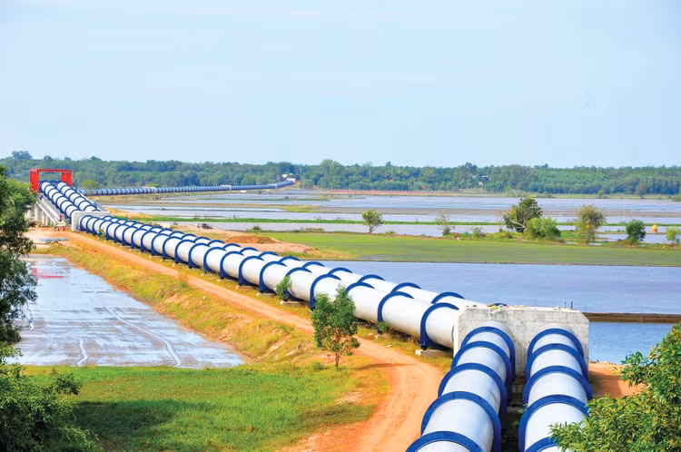 Những năm gần đây, 100% số gói thầu tại Bộ Nông nghiệp và Phát triển nông thôn lựa chọn nhà thầu theo hình thức đấu thầu rộng rãi đều được đấu thầu qua mạng. Ảnh: Minh Dương