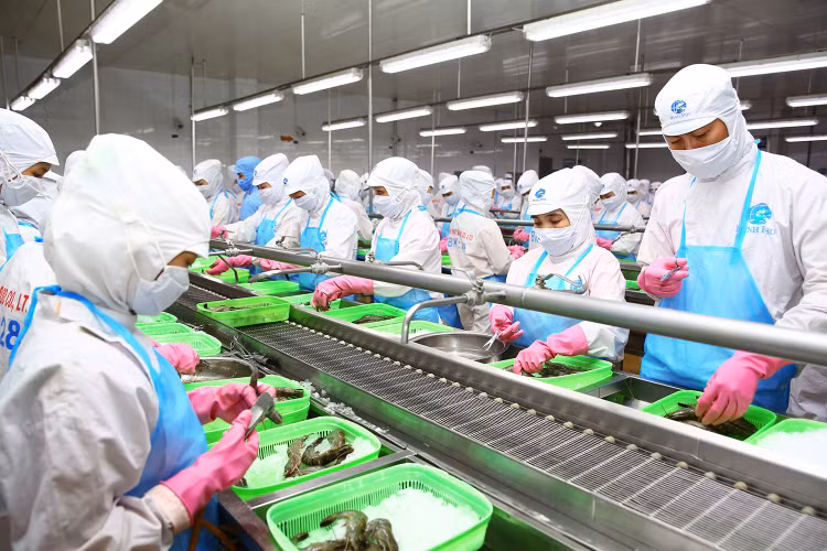 Năm 2023, ngành nông, lâm nghiệp và thủy sản tiếp tục là “bệ đỡ” của nền kinh tế. Ảnh: Lê Tiên