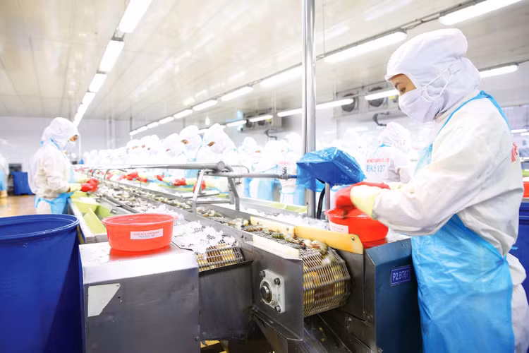 Các nhóm hàng xuất khẩu chủ lực lấy lại đà tăng trưởng. Ảnh: Tiên Giang