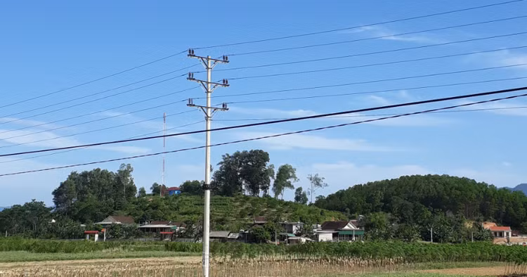 Ảnh chỉ mang tính minh họa: Internet